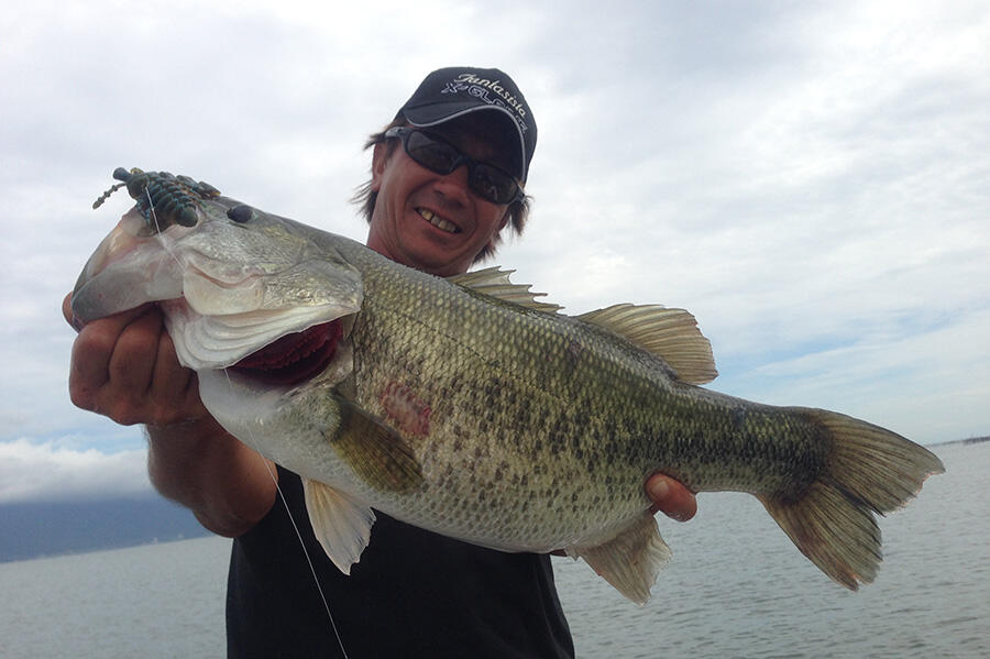 バークレイバブルクリーチャー3.6インチ8パックセット廃盤絶版バークレー バークレイバブルクリーチャー3.6インチ8パックセット廃盤絶版